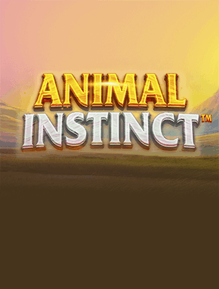 betmxs-playtech-33-2.png