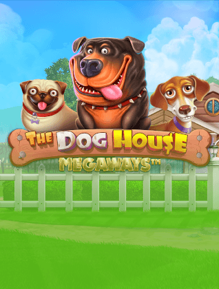 hoywin-pragmatic-play-game-2.png