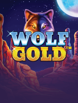hoywin-pragmatic-play-game-28.png